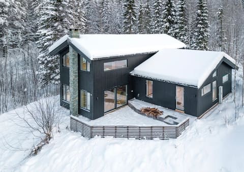 Modern and Elegant Cottage