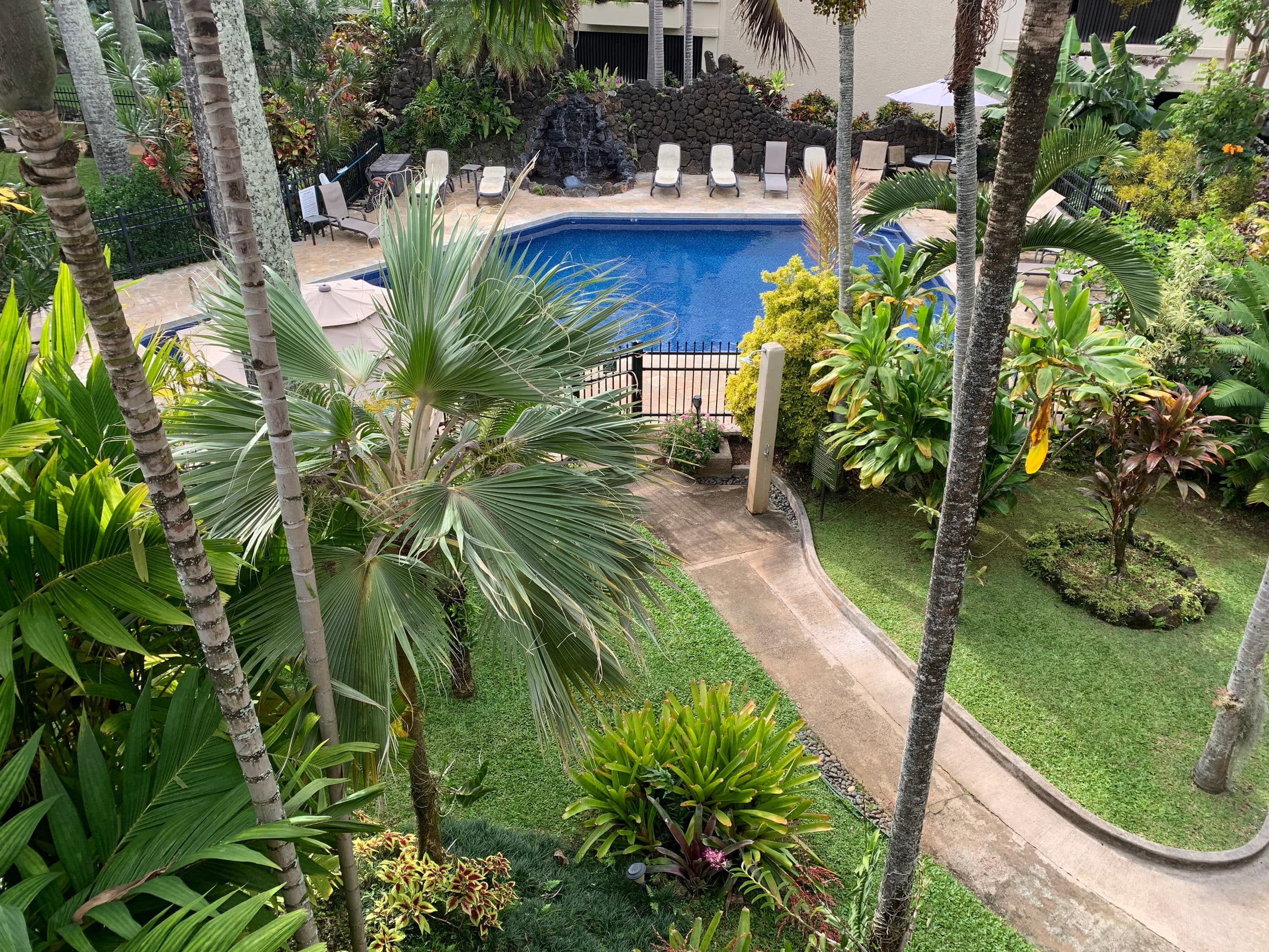 Prince Kuhio 317 Ocean View - Photo 15