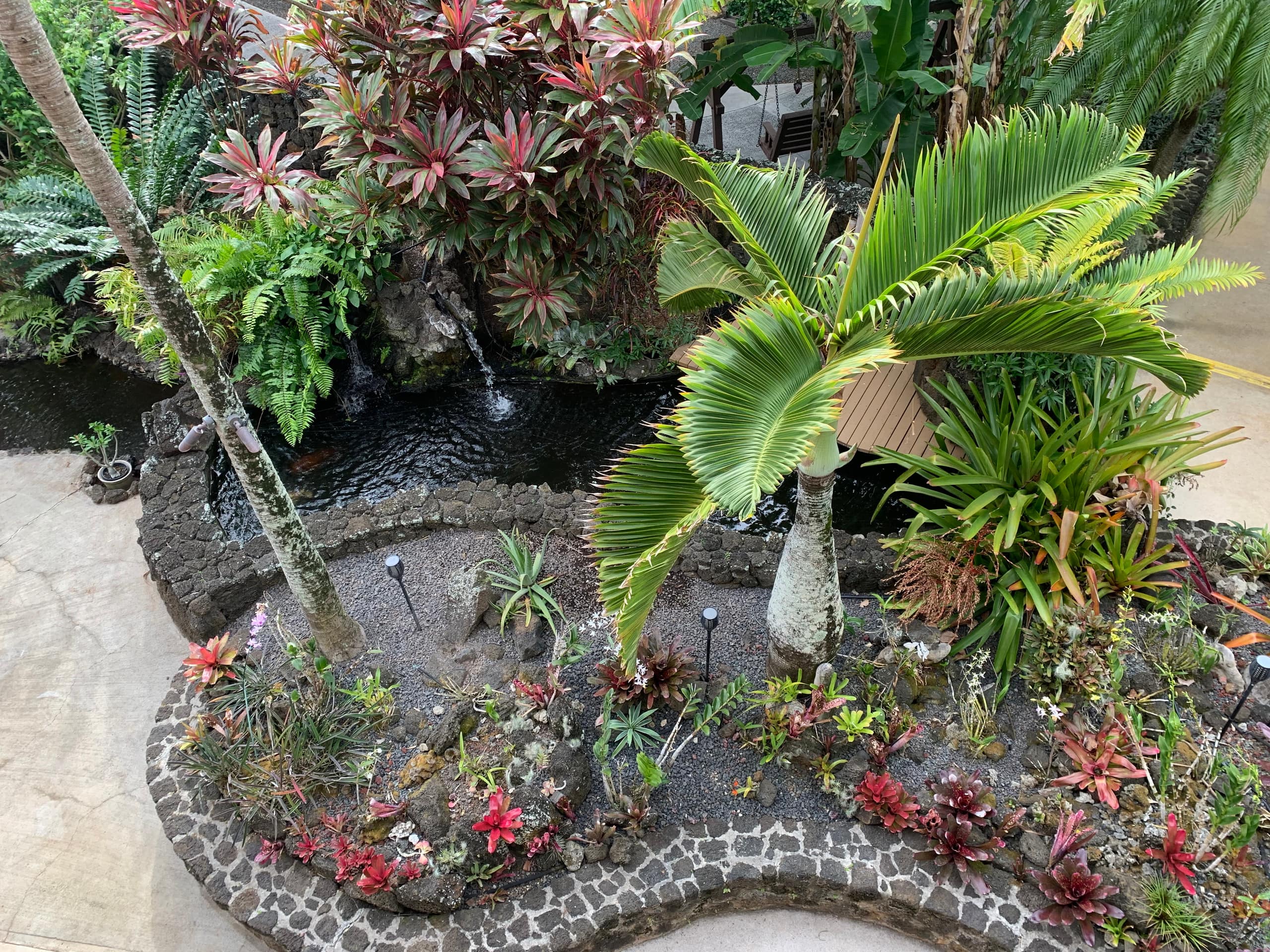 Prince Kuhio 317 Ocean View - Photo 16