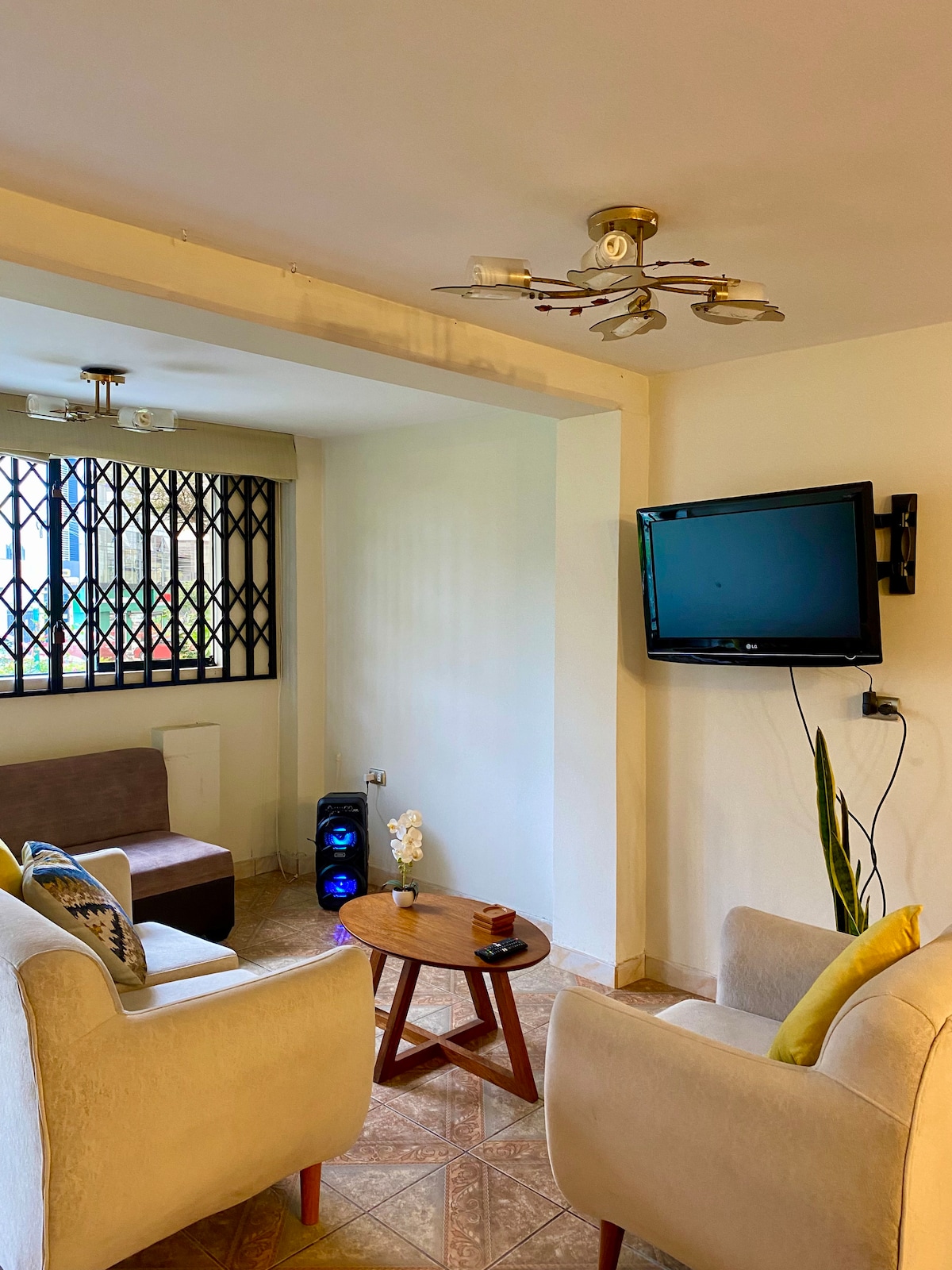 A cozy living area is highlighted by a small round table and two light-colored chairs. A wall-mounted television faces a simple brown couch, while a decorative plant adds a touch of green. Natural light filters through a window with a secure metal grille.