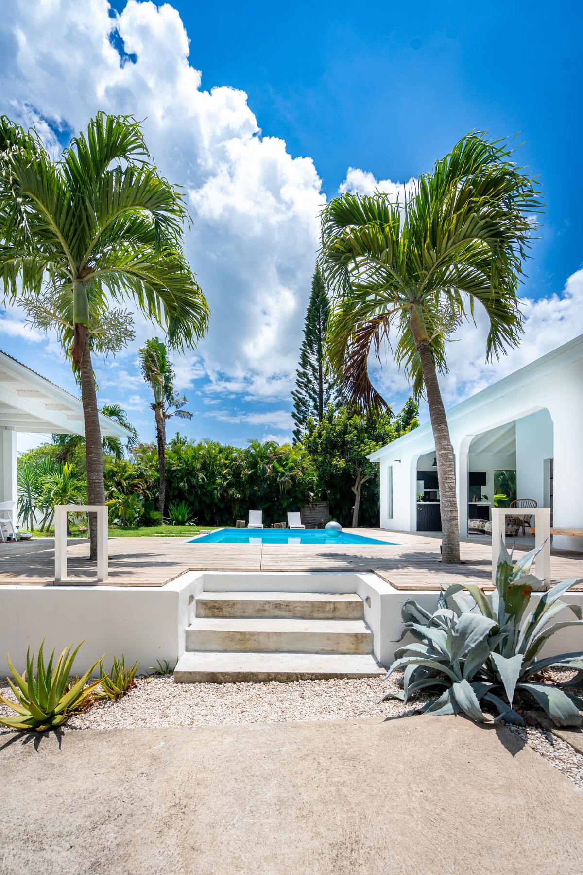 A serene outdoor area is displayed, featuring a clear blue pool surrounded by palm trees. Two lounge chairs are positioned by the poolside, while lush greenery decorates the landscape. Steps lead from the terrace to the pool, enhancing the connection between indoor and outdoor spaces.