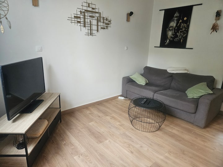 Appartement T2 Avec Cour - Tours