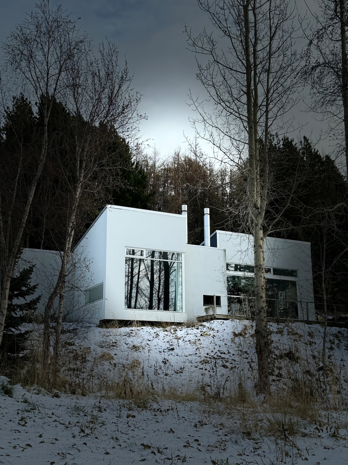 A contemporary white villa is nestled among tall trees, with a snowy landscape surrounding its base. The building features large glass windows reflecting the natural scenery, and its minimalist design is enhanced by two prominent chimney structures.