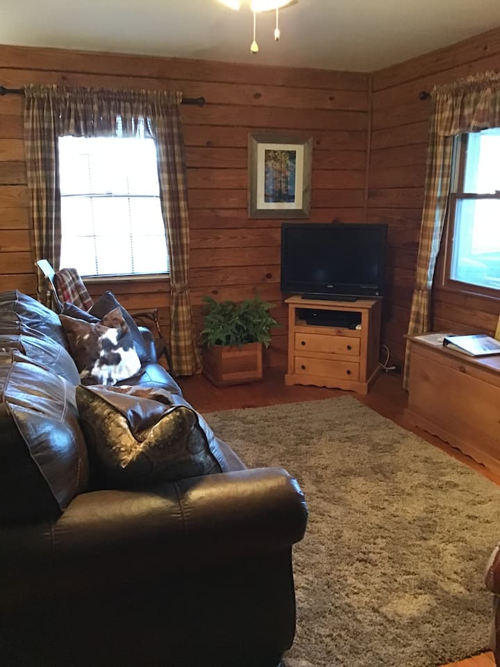 Sehemu ya sebule - Sofa Sleeper.