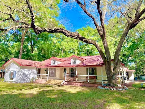 Serenity Farmhouse near Florida Springs •Game Room
