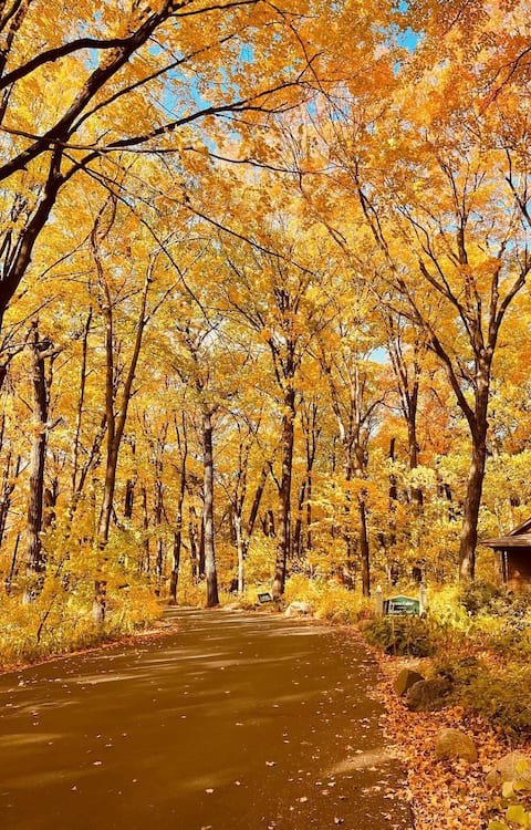 Beautiful Lake house in Remer