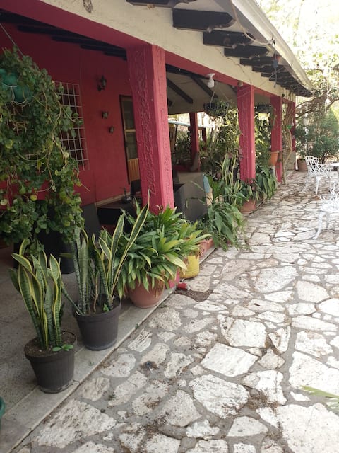 House of Profe Delmy