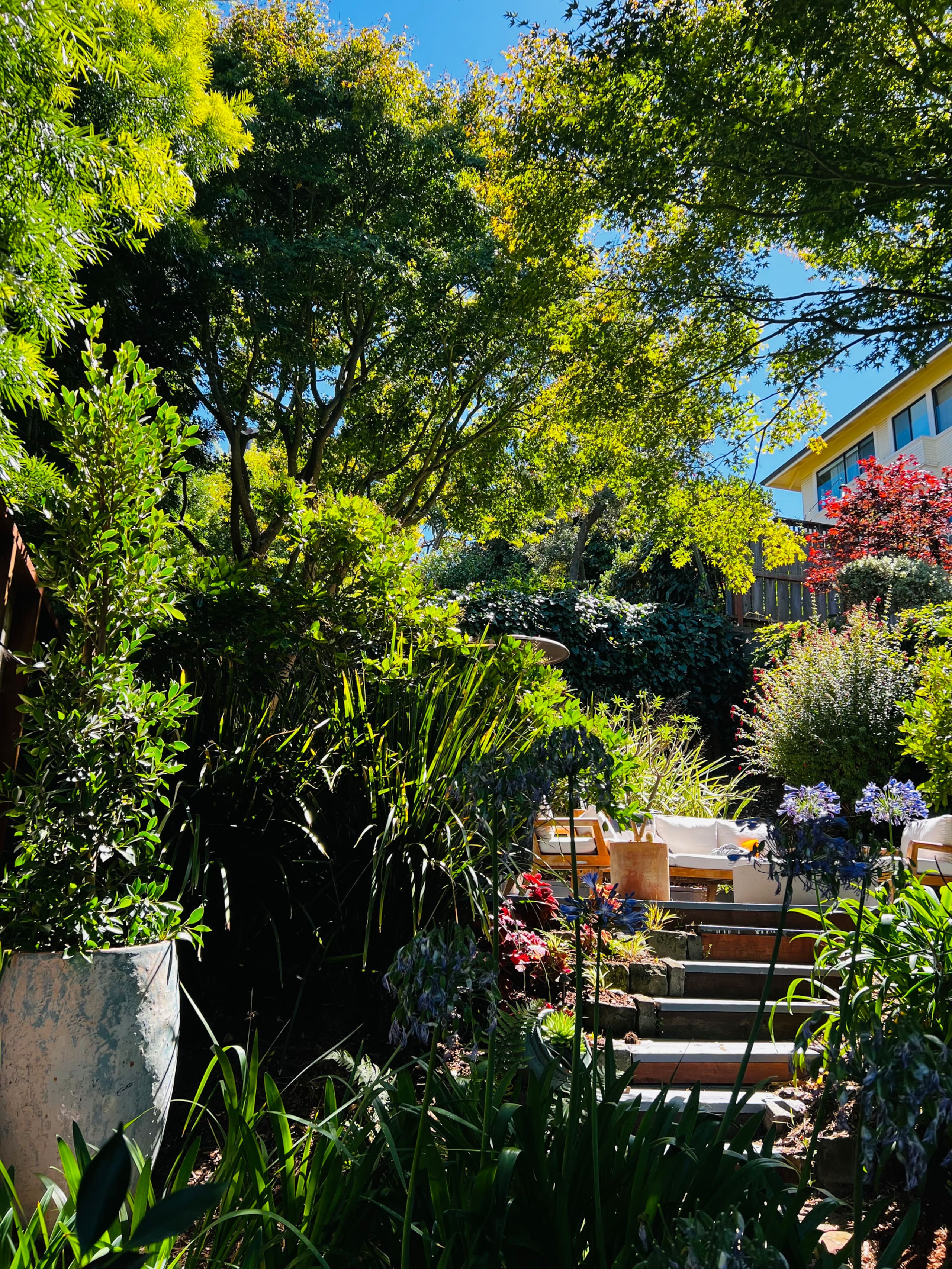 Home in San Francisco · ★4.89 · 1 bedroom · 2 beds · 1 bath - Image 23