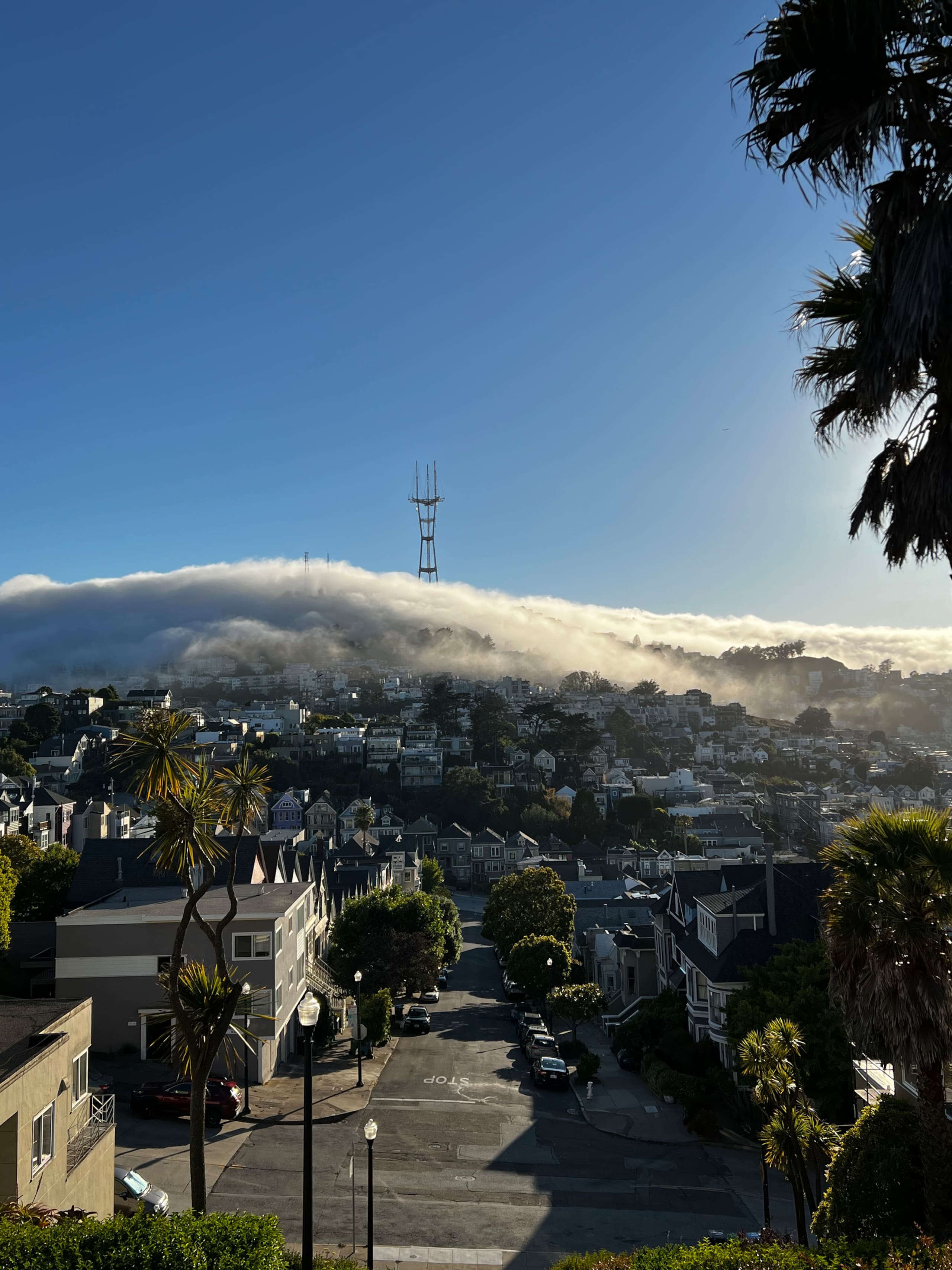 Home in San Francisco · ★4.89 · 1 bedroom · 2 beds · 1 bath - Image 33