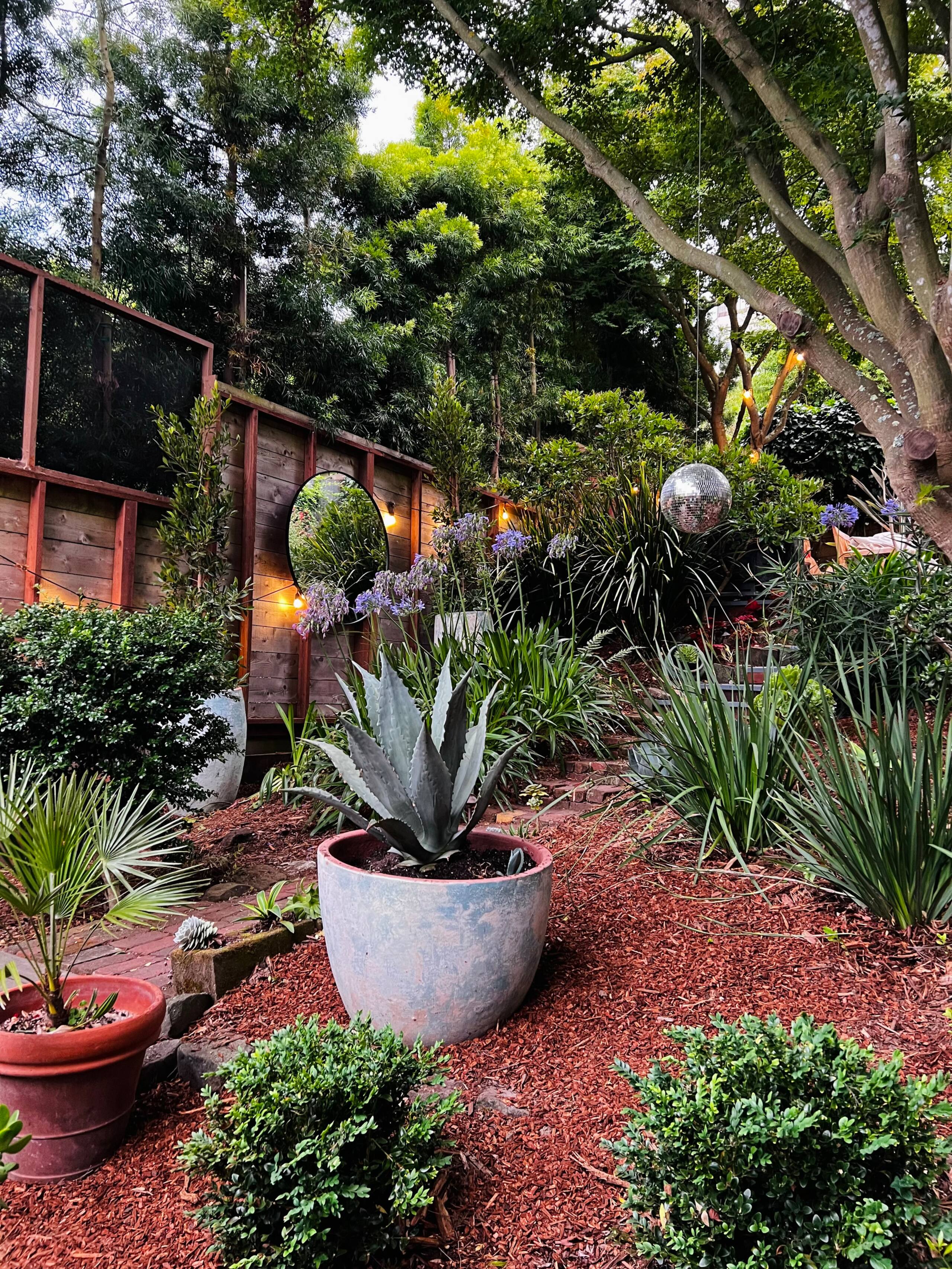Home in San Francisco · ★4.89 · 1 bedroom · 2 beds · 1 bath - Image 1