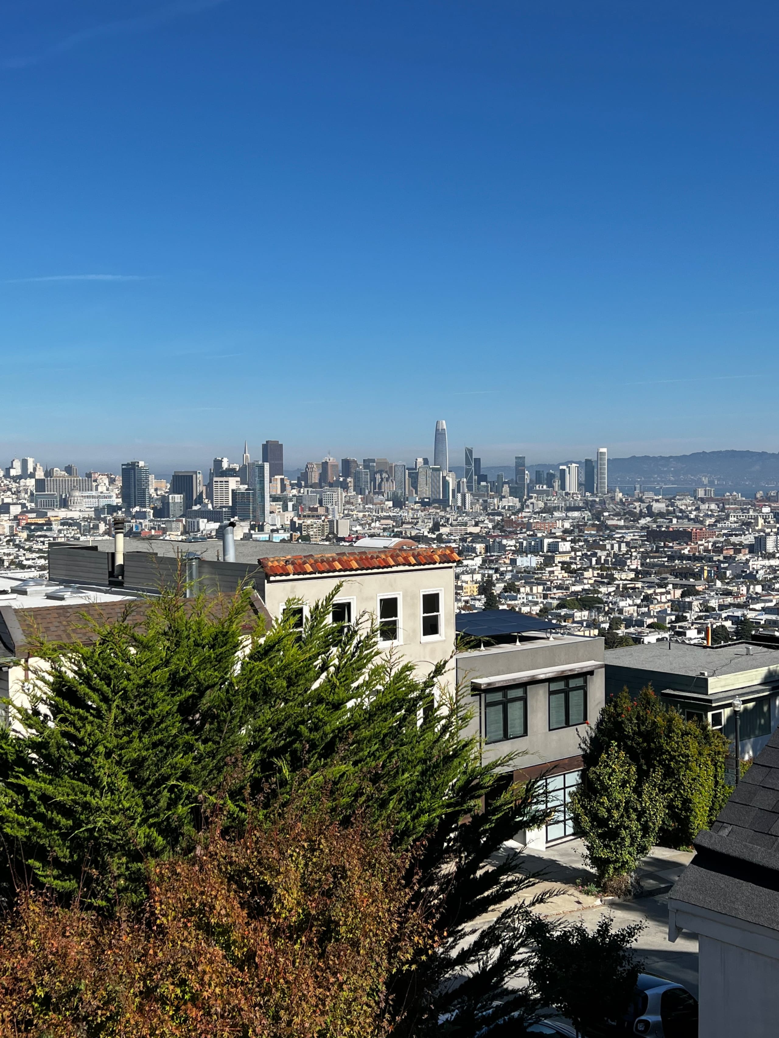 Home in San Francisco · ★4.89 · 1 bedroom · 2 beds · 1 bath - Image 31