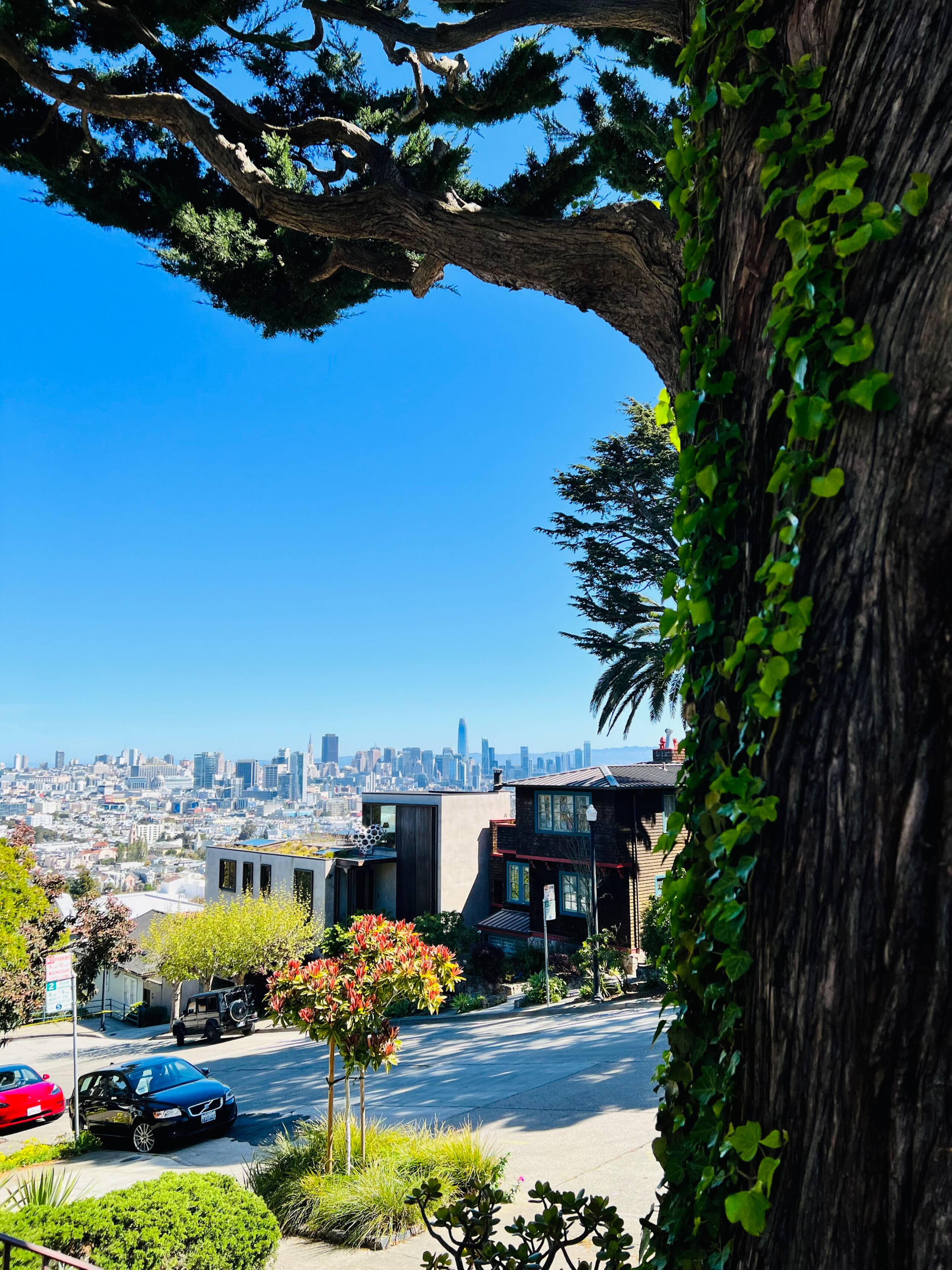 Home in San Francisco · ★4.89 · 1 bedroom · 2 beds · 1 bath - Image 35