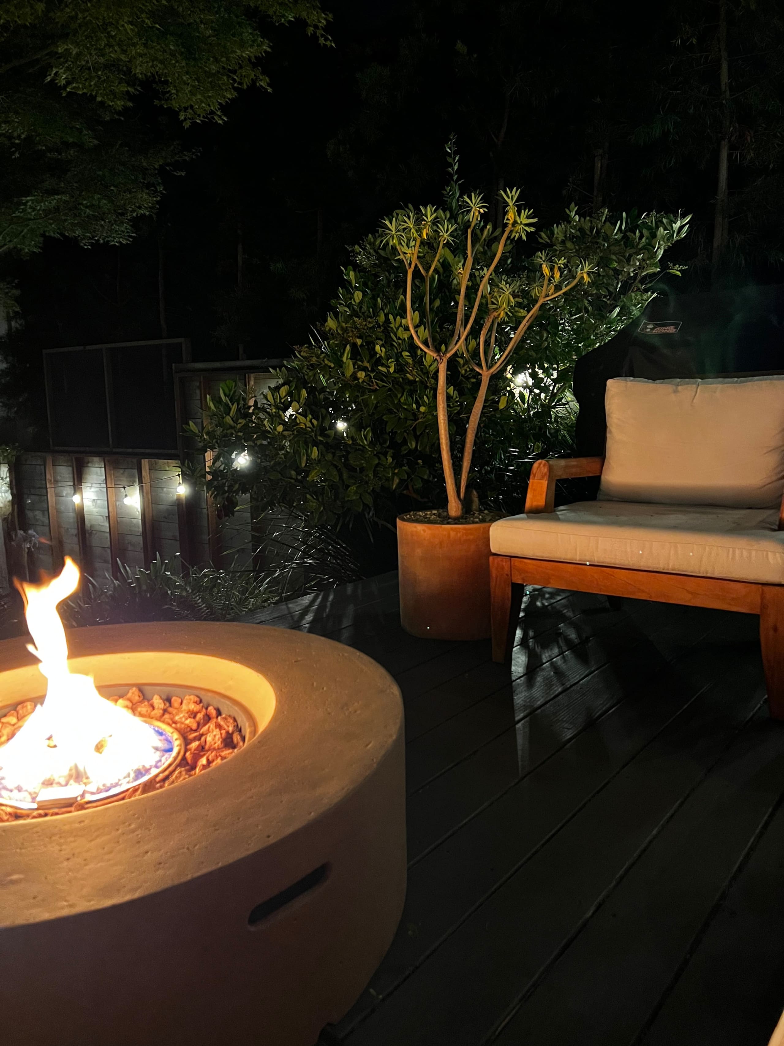 Home in San Francisco · ★4.89 · 1 bedroom · 2 beds · 1 bath - Image 22