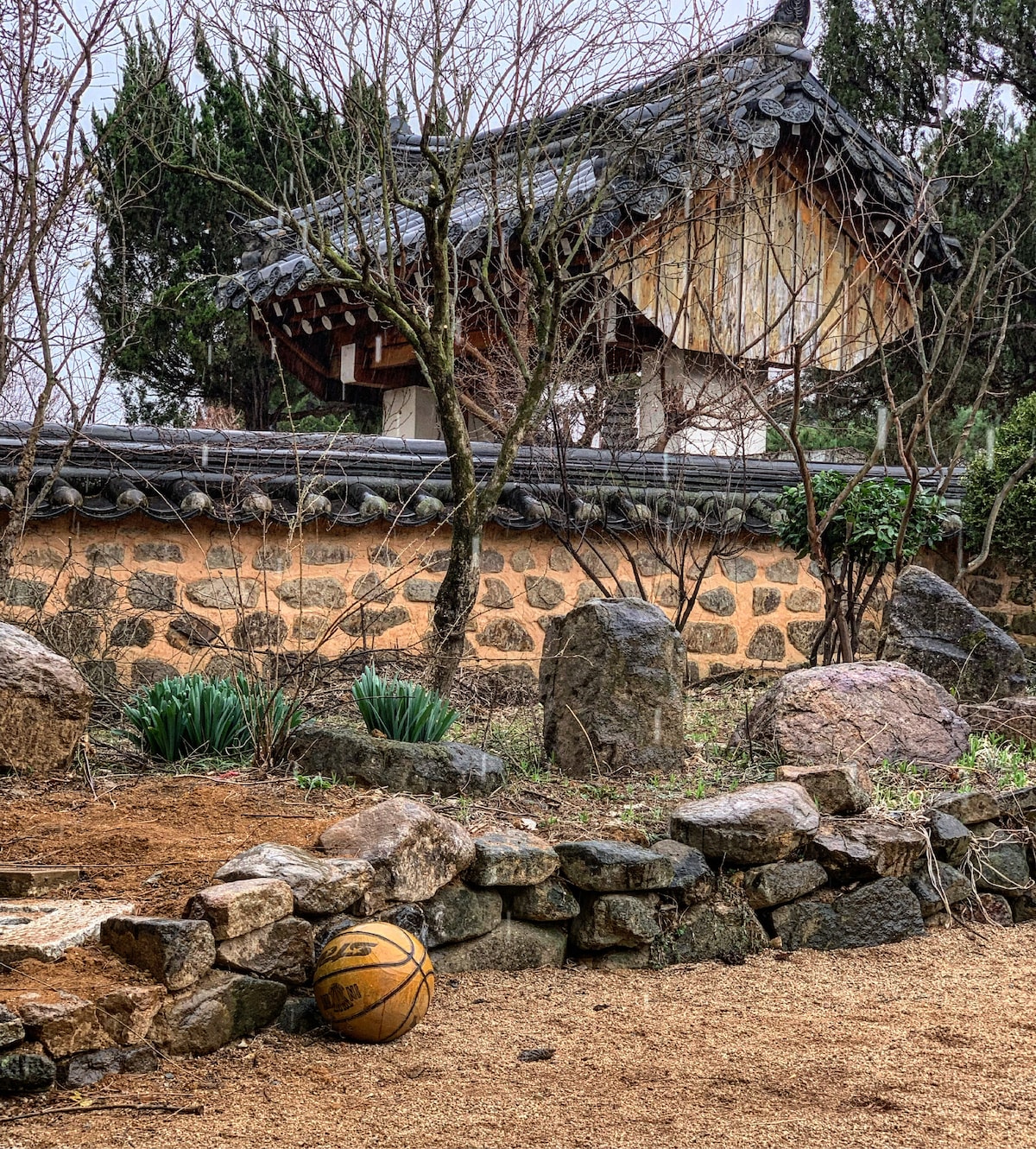 A traditional structure with a sloped roof is visible in the background, surrounded by a stone wall and trees. The garden displays a mix of bare branches and green plants. A weathered basketball rests on the ground near a stone border, adding a casual element to the serene setting.