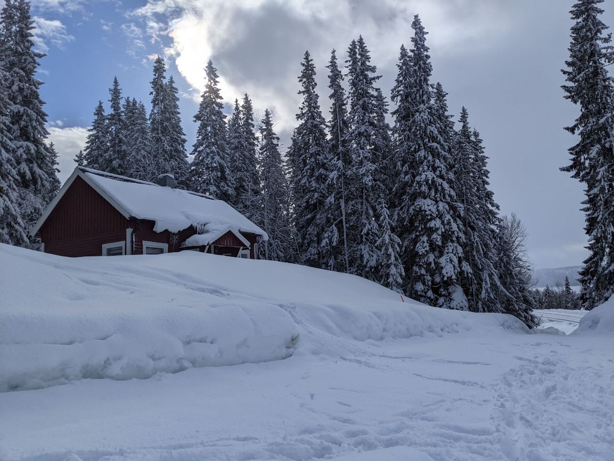A charming red cabin is partially obscured by snow, surrounded by tall evergreen trees. The ground is blanketed with fresh snow, creating a serene winter landscape. Soft clouds are visible in the sky, adding to the tranquil atmosphere of the scene.