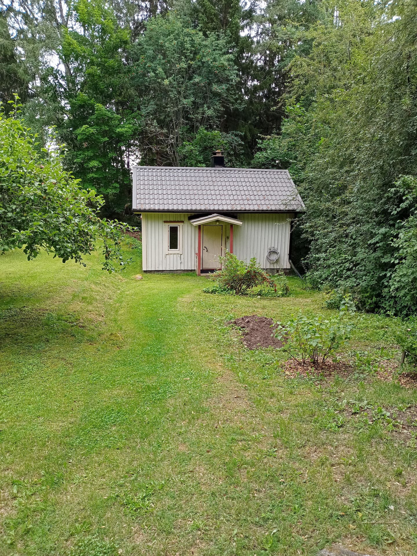 Rauhaisa Kesäinen  Paratiisi. 3