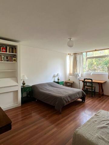 Blue Light Apartment, Coyoacán.