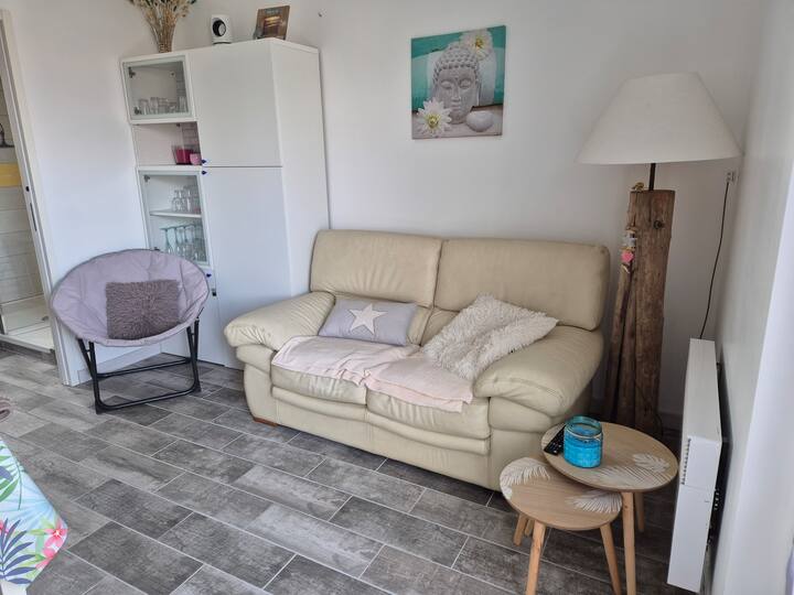 Logement Avec Extérieur, Plage Et Commerces à Pied - Saint-Michel-en-l'Herm