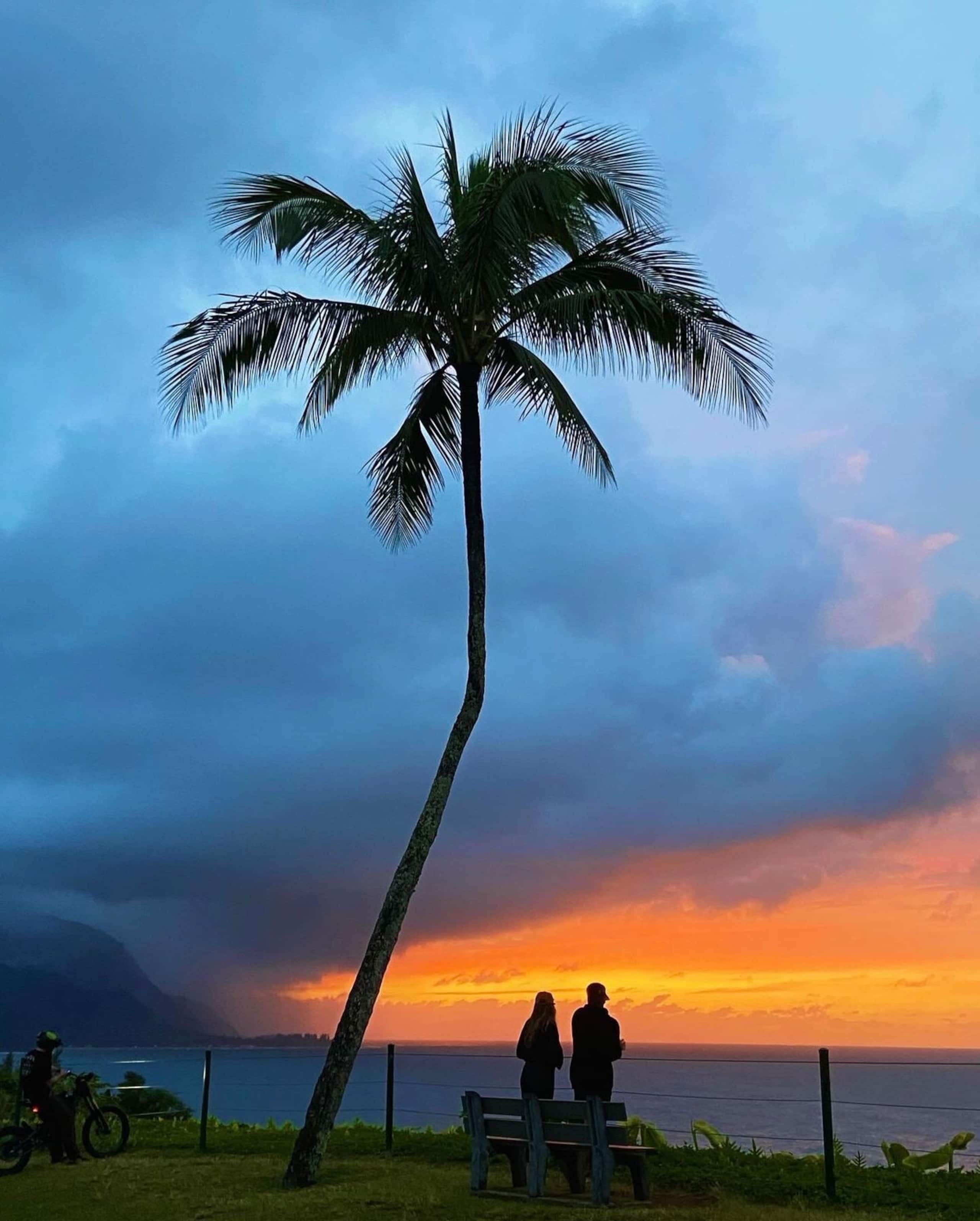 Home in Princeville · ★4.98 · 3 bedrooms · 3 beds · 2.5 baths - Image 69