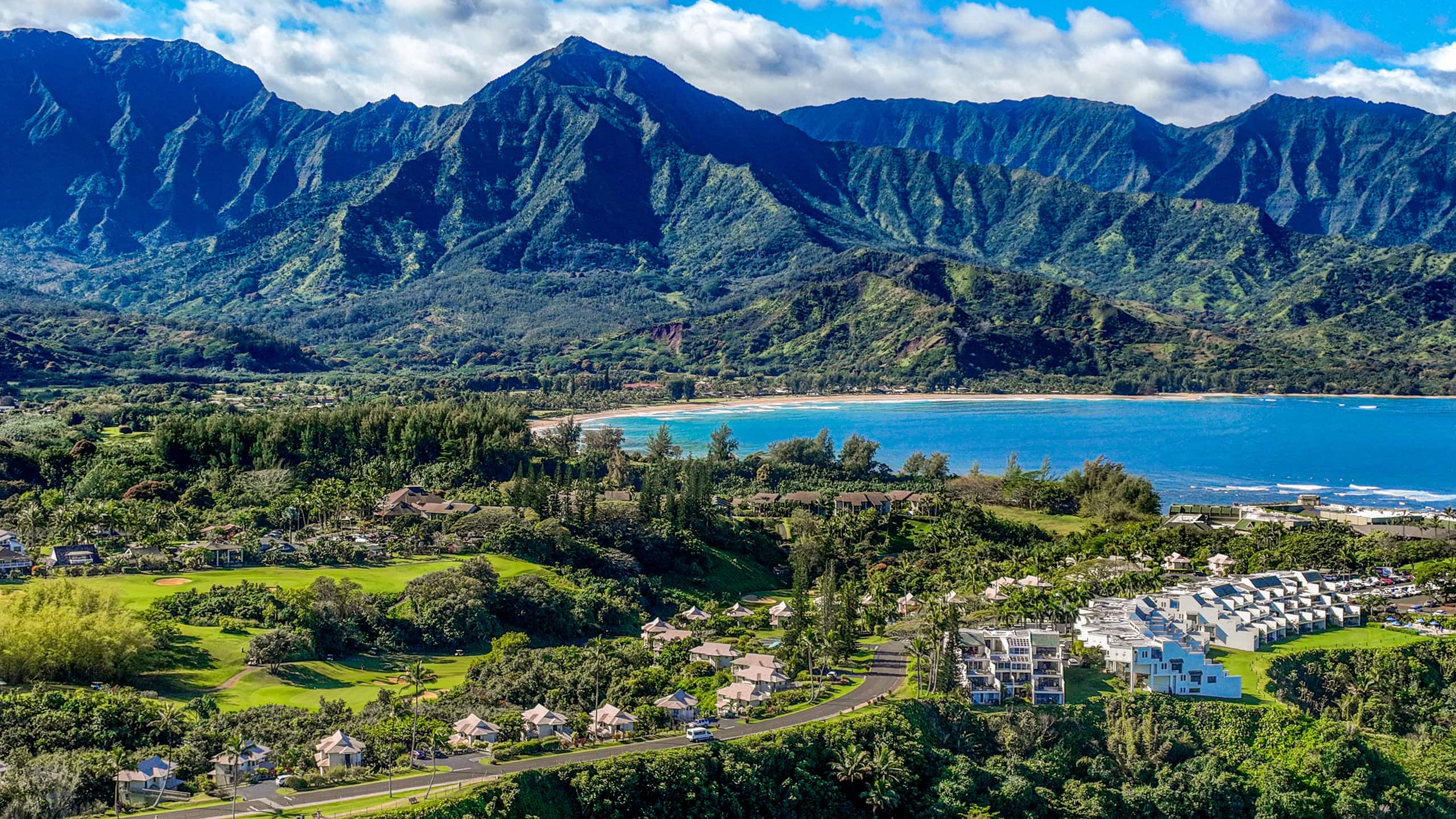 Home in Princeville · ★4.98 · 3 bedrooms · 3 beds · 2.5 baths - Image 52