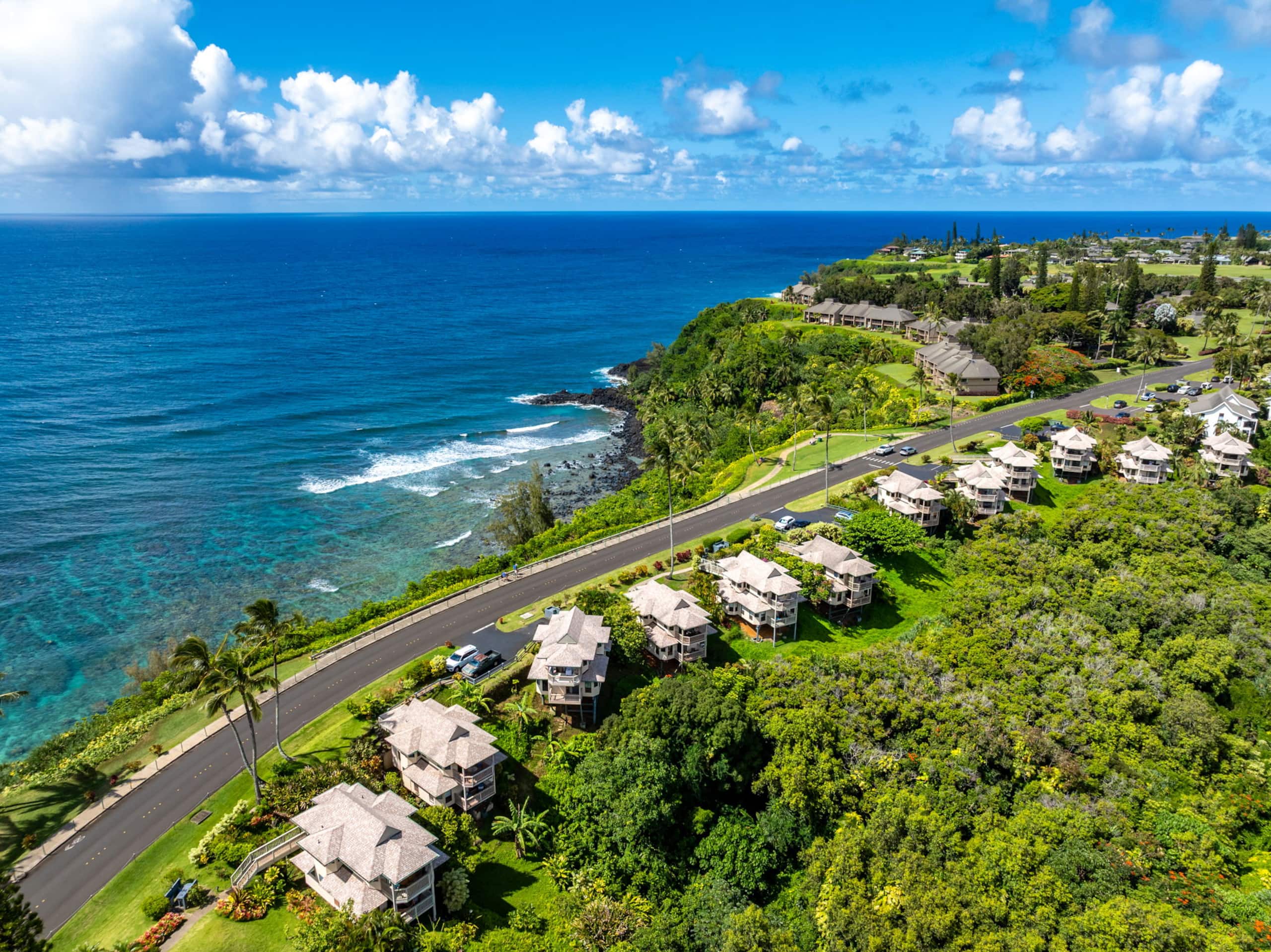 Home in Princeville · ★4.98 · 3 bedrooms · 3 beds · 2.5 baths - Image 61