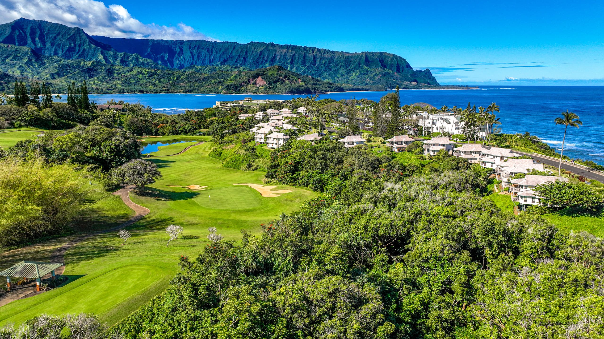 Home in Princeville · ★4.98 · 3 bedrooms · 3 beds · 2.5 baths - Image 54