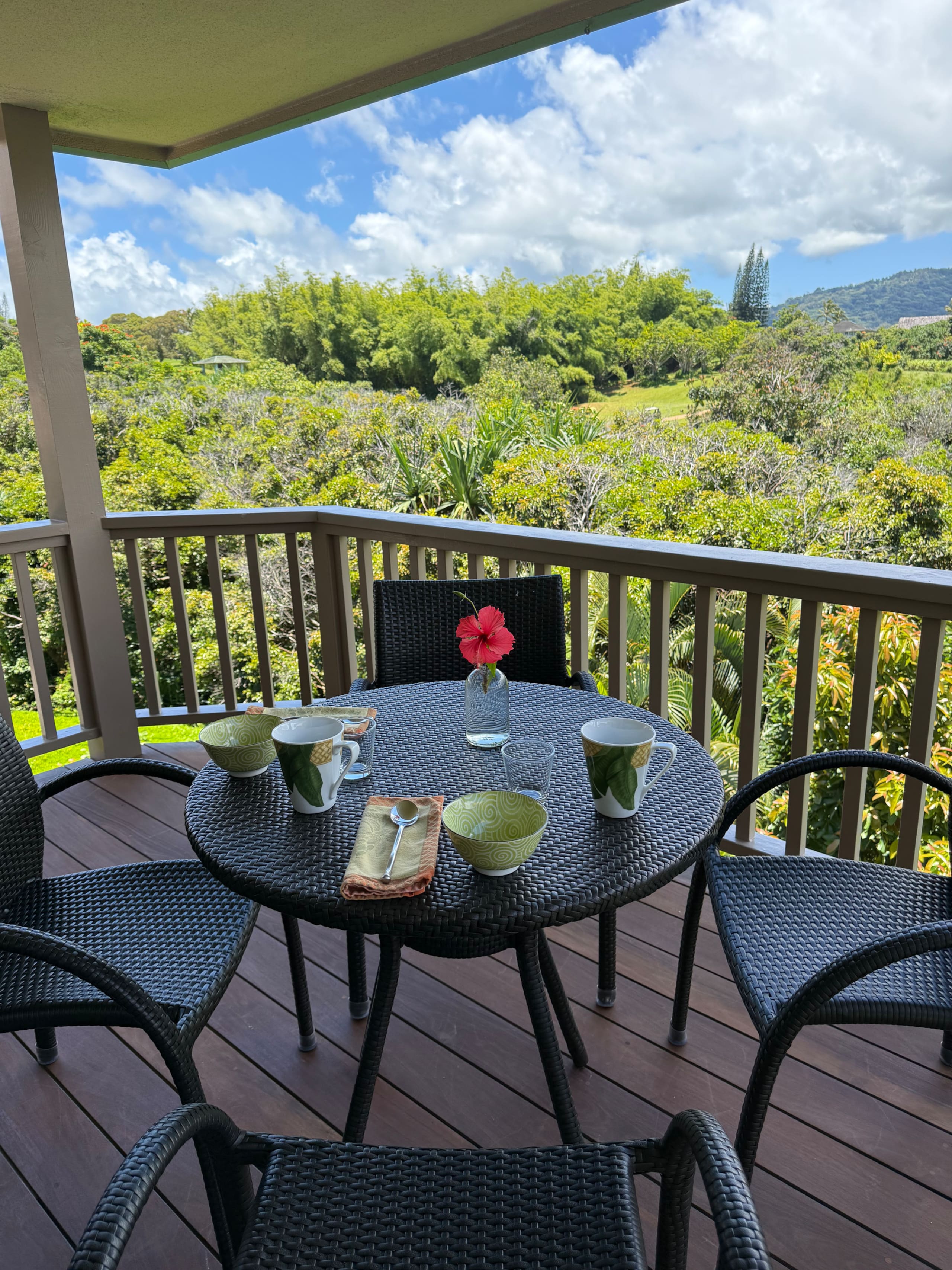 Home in Princeville · ★4.98 · 3 bedrooms · 3 beds · 2.5 baths - Image 46