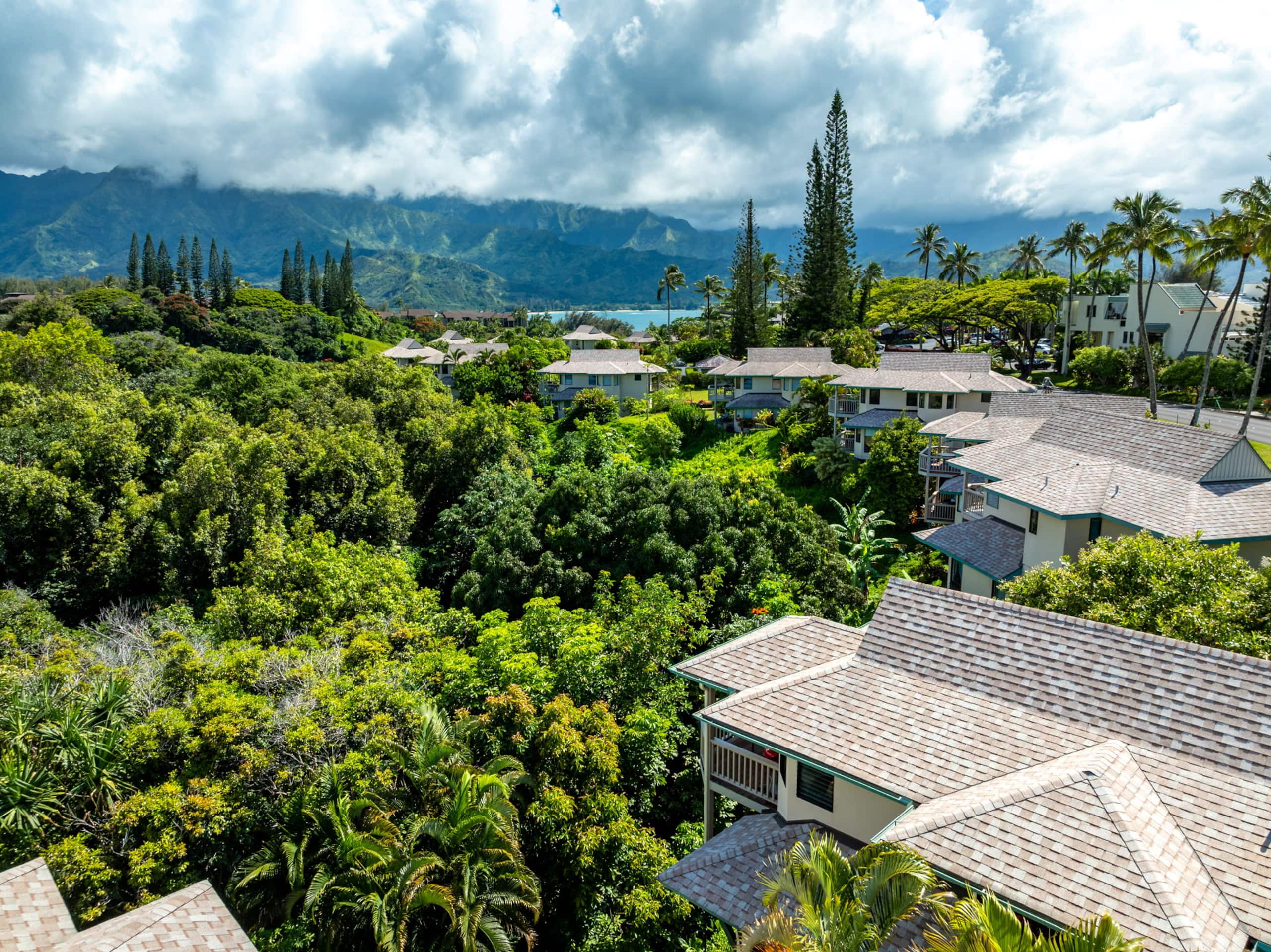 Home in Princeville · ★4.98 · 3 bedrooms · 3 beds · 2.5 baths - Image 57