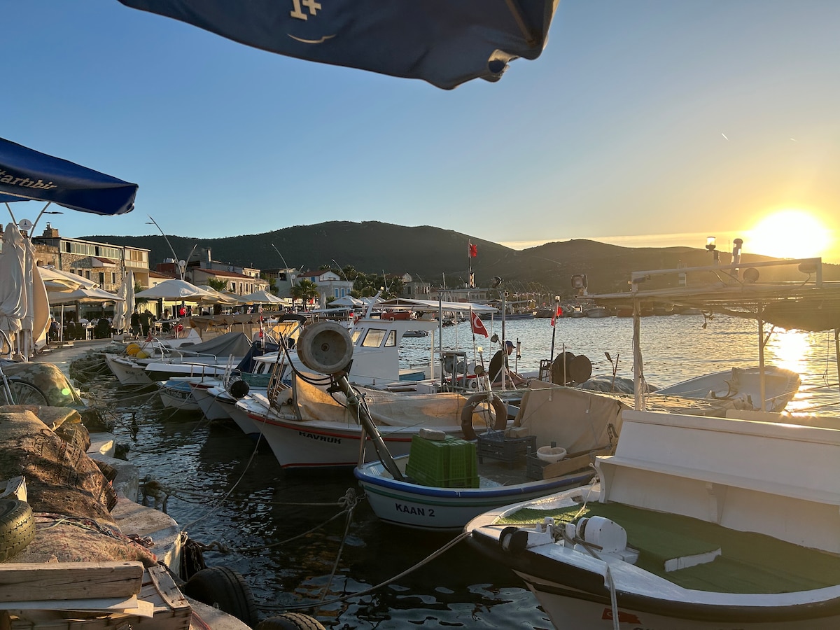 Karina Villa Kozbeyli Reva Konakları Müstakil Havuz