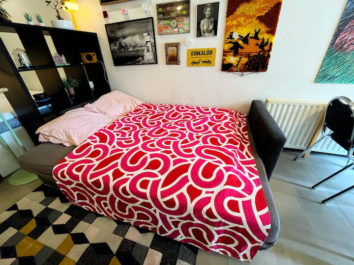 Our Cozy Studio Apartment - Reikiavik
