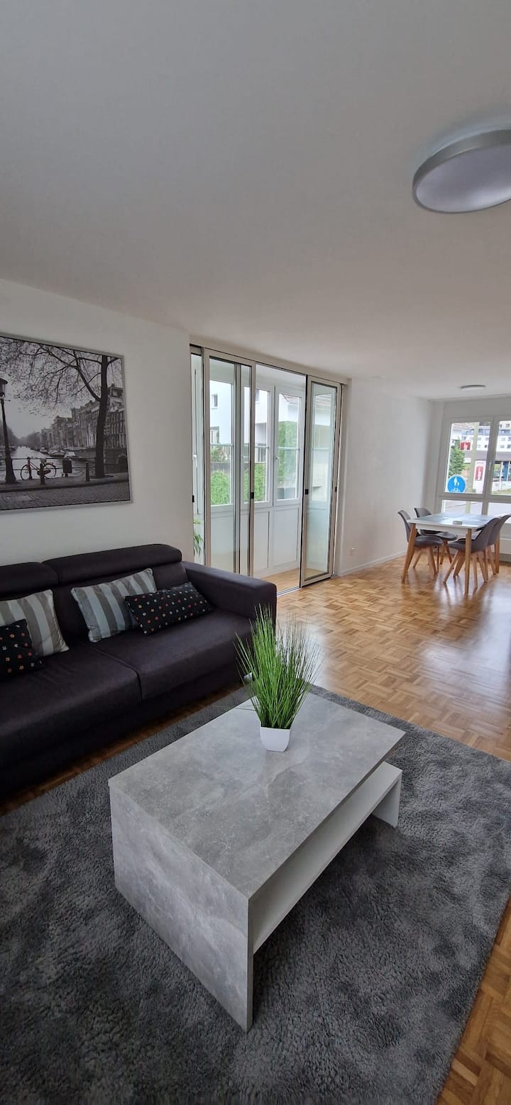 Schöne 2 Zimmer Wohnung Zental Und Am Rhein - Schaffhausen