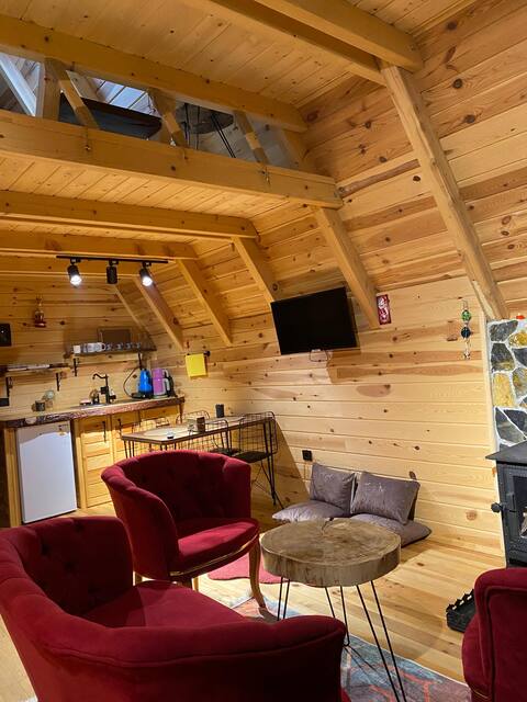 Top performing Airbnb: Nature is calling in Ardeşen