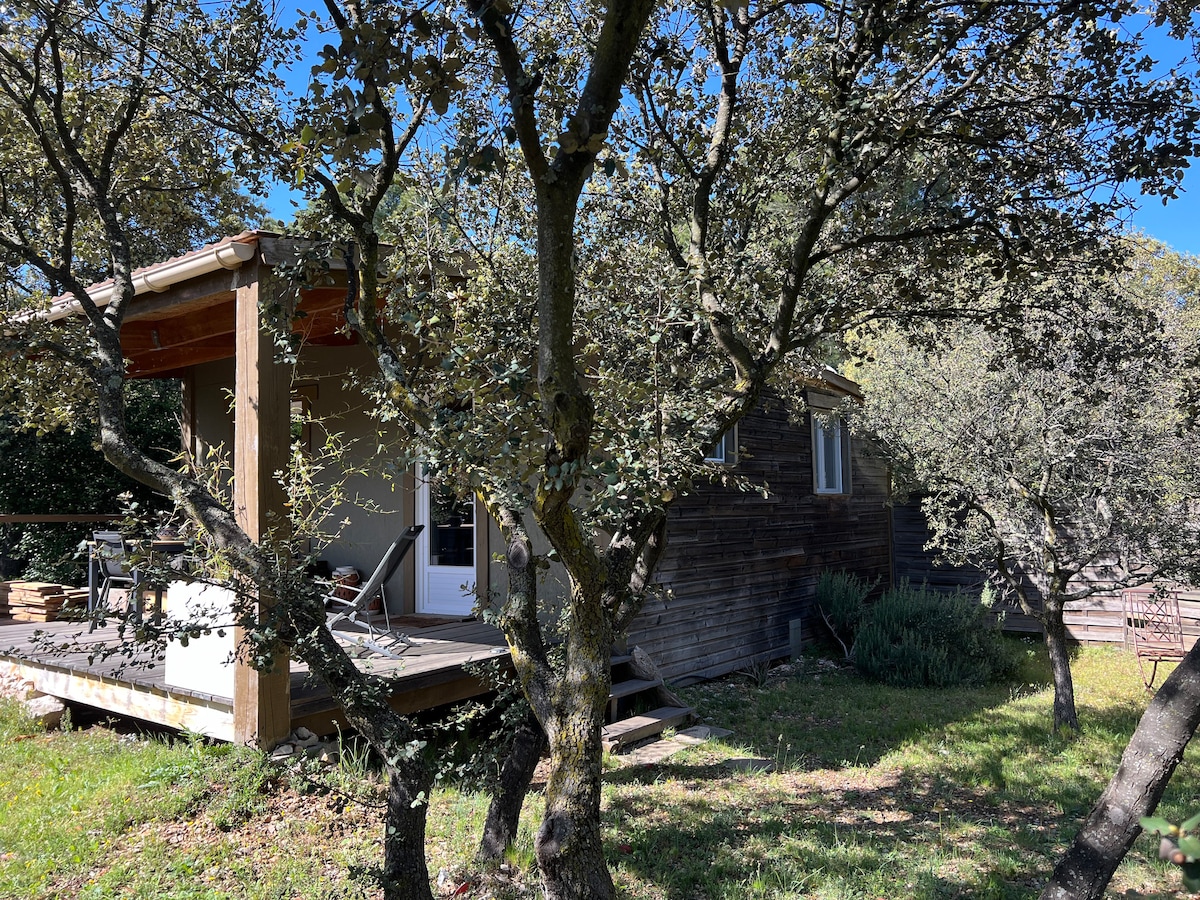 A charming rustic cabin is nestled among leafy trees, showcasing a wooden deck that provides outdoor seating. The entrance features glass doors, inviting natural light into the interior. Lush greenery surrounds the cabin, creating a peaceful natural setting.