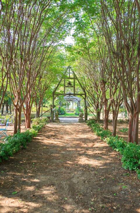 Rejuvenate & relax Go on a Texas Foodie Adventure