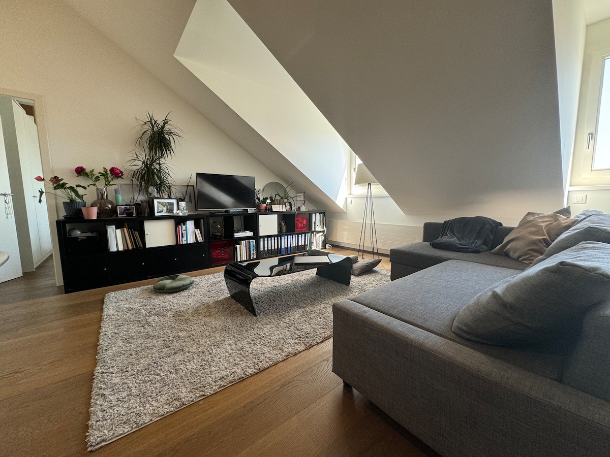 Successful Airbnb property: Beautiful apartment at the foot of the lake in Cité