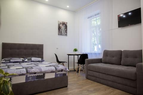Apartment Zatyshok