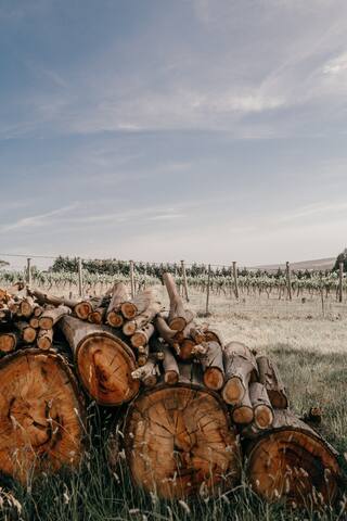 Charming Country Stay for 12~Blame Mabel gallery image 3