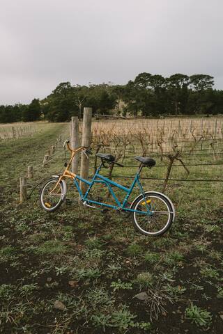 Charming Country Stay for 12~Blame Mabel gallery image 4