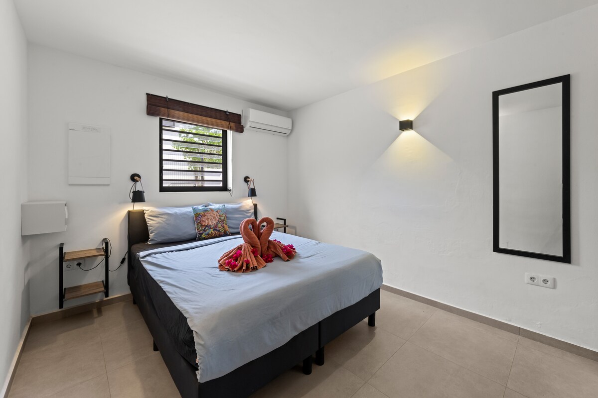 Curalux Apartments-Turtle - Apartments for Rent in Jan Thiel