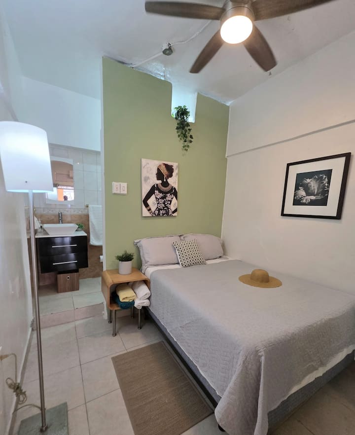 Tropica Studio 1 Walk To Ocean Park Beach - Puerto Rico