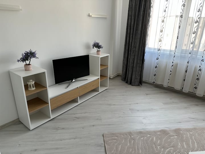 Amalia Apartament - Roman