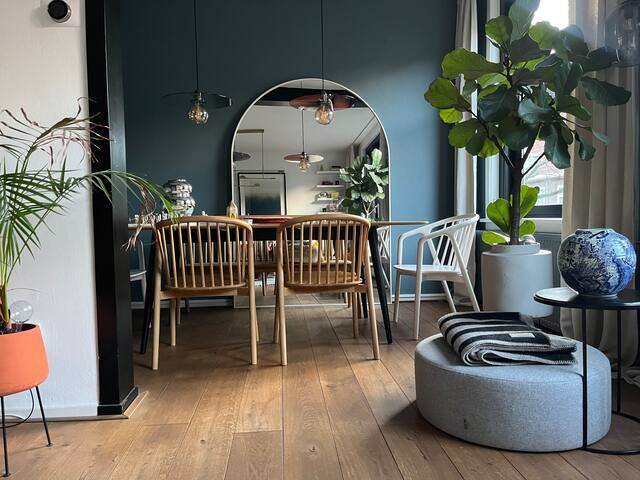 Charming duplex near Vondelpark gallery image 4