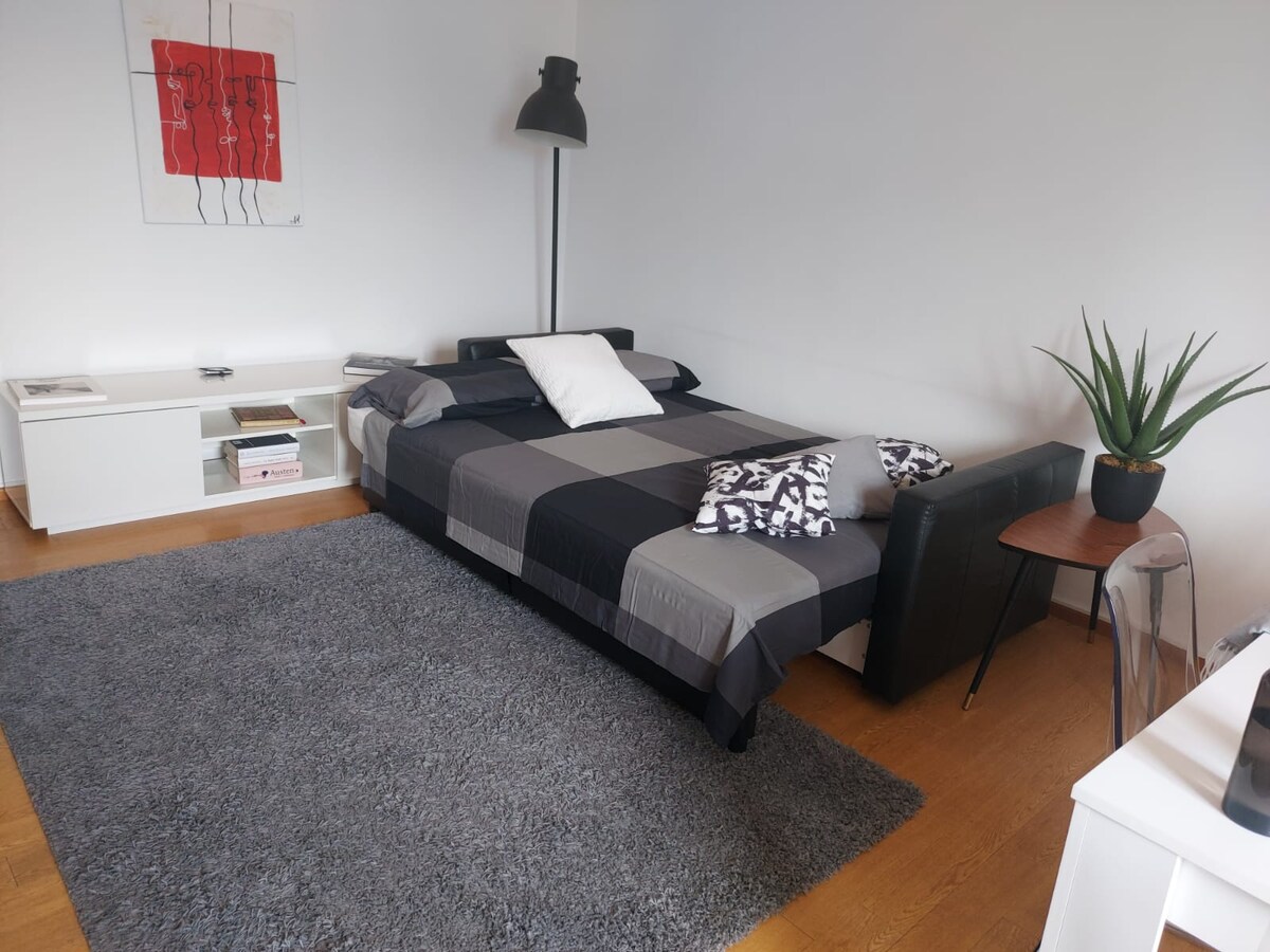 Top Airbnb: Romantic lake and mountain views in the heart of Lugano in Lugano