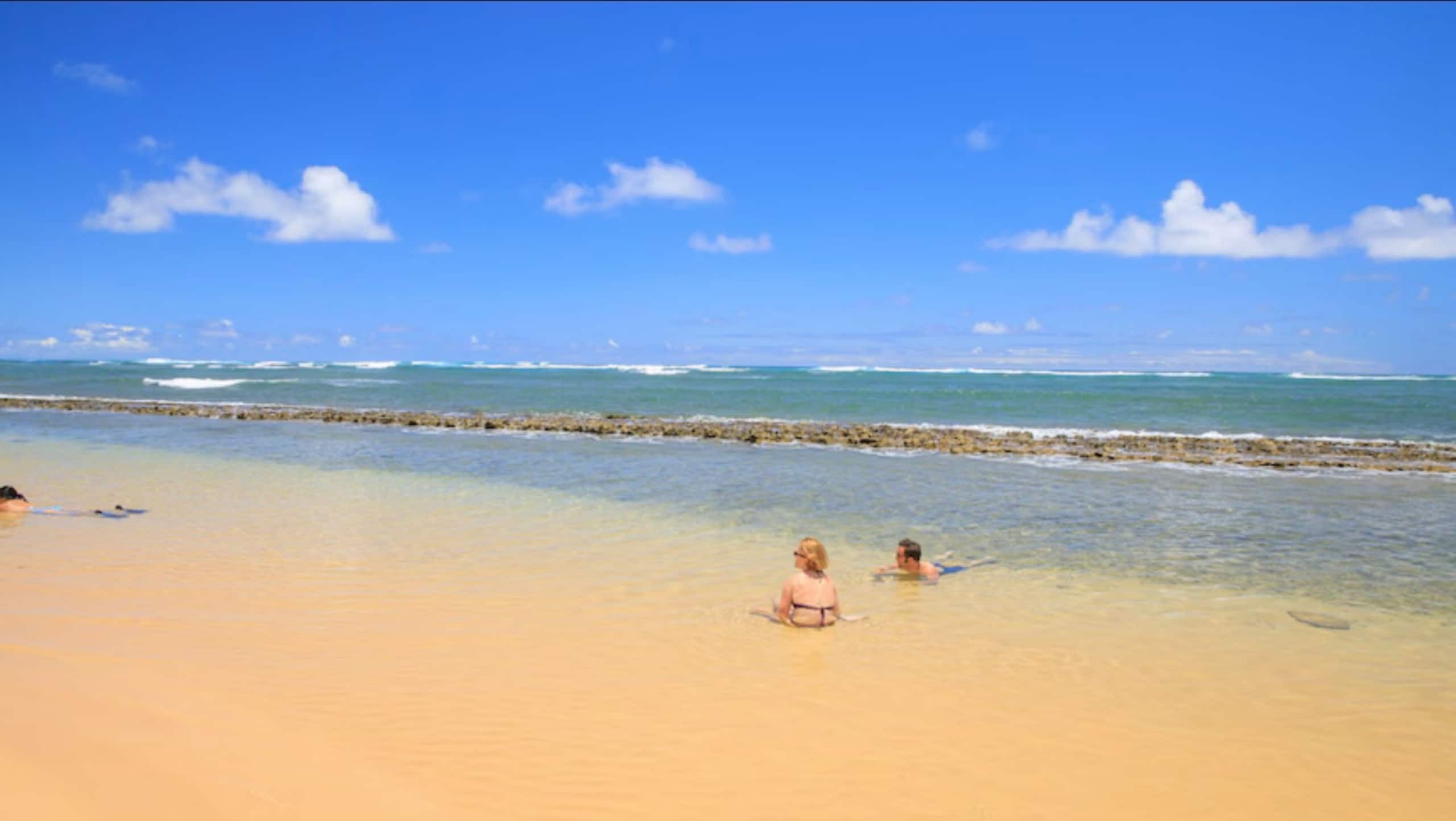 Breezy 2 BR / AC / Poolside / Near to Beach - Image 49