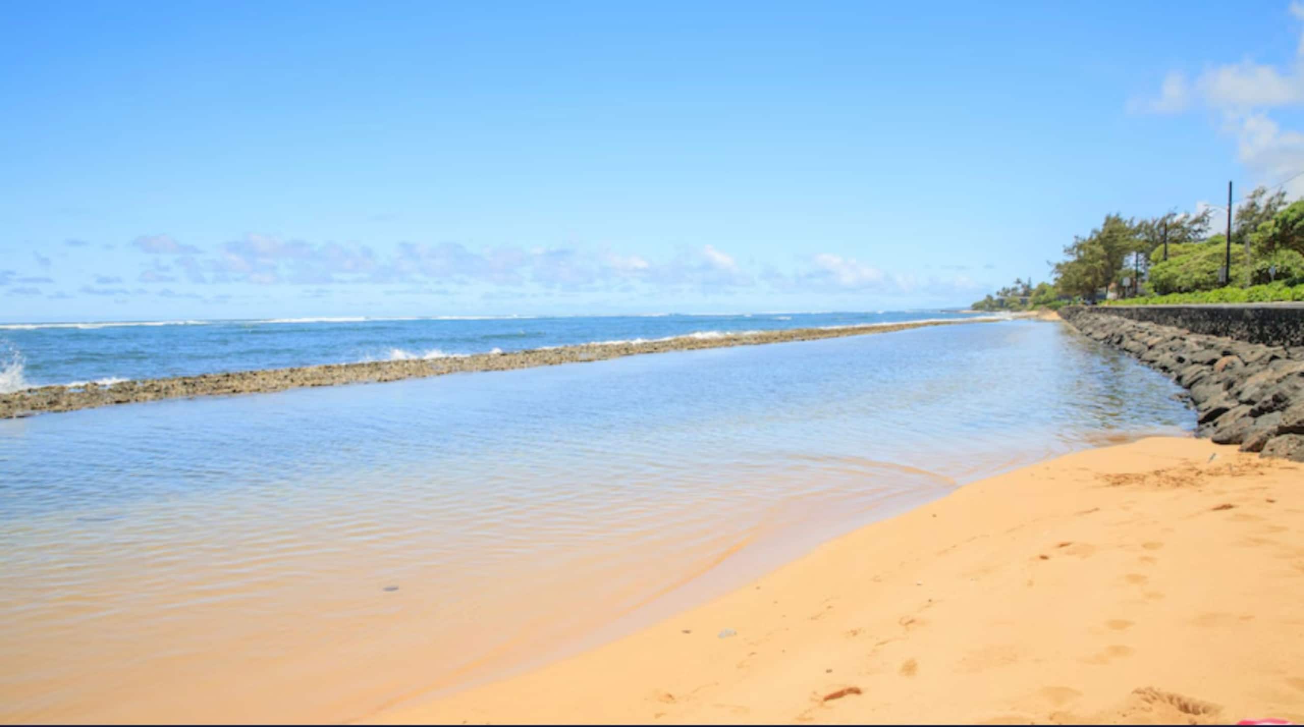 Breezy 2 BR / AC / Poolside / Near to Beach - Image 50