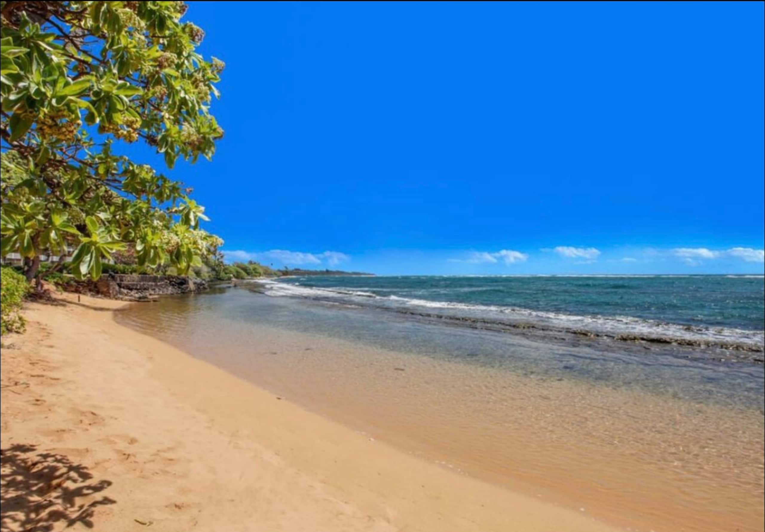 Breezy 2 BR / AC / Poolside / Near to Beach - Image 54