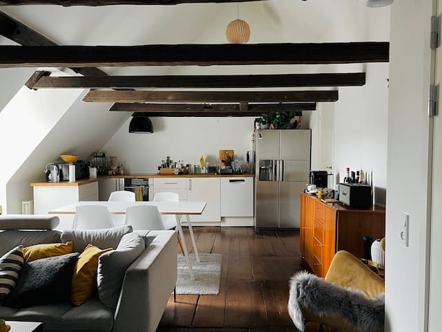 Cozy Apt in the Center of CPH