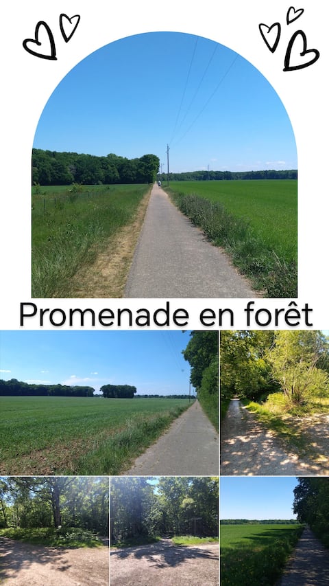 Cottage with Video Projector, Garden, Breakfast*