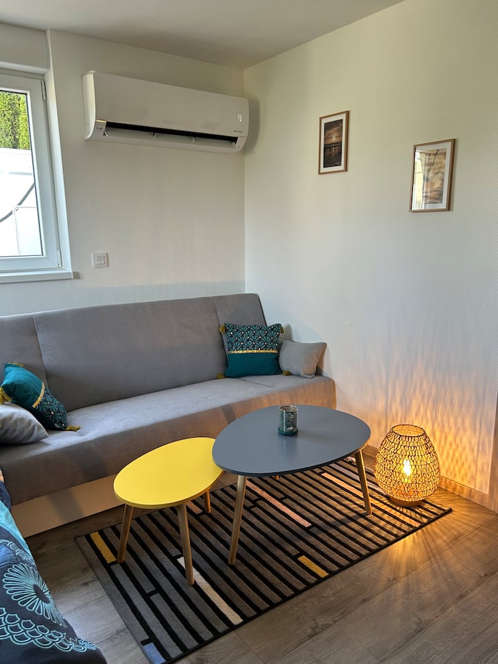 Petite Maison Avec Terasse Et Extérieur - Sarrebourg