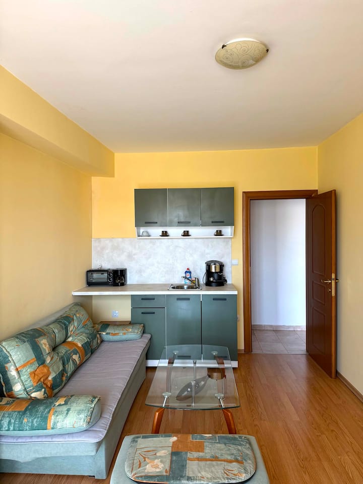Big Apartment In The City Center. - Bansko